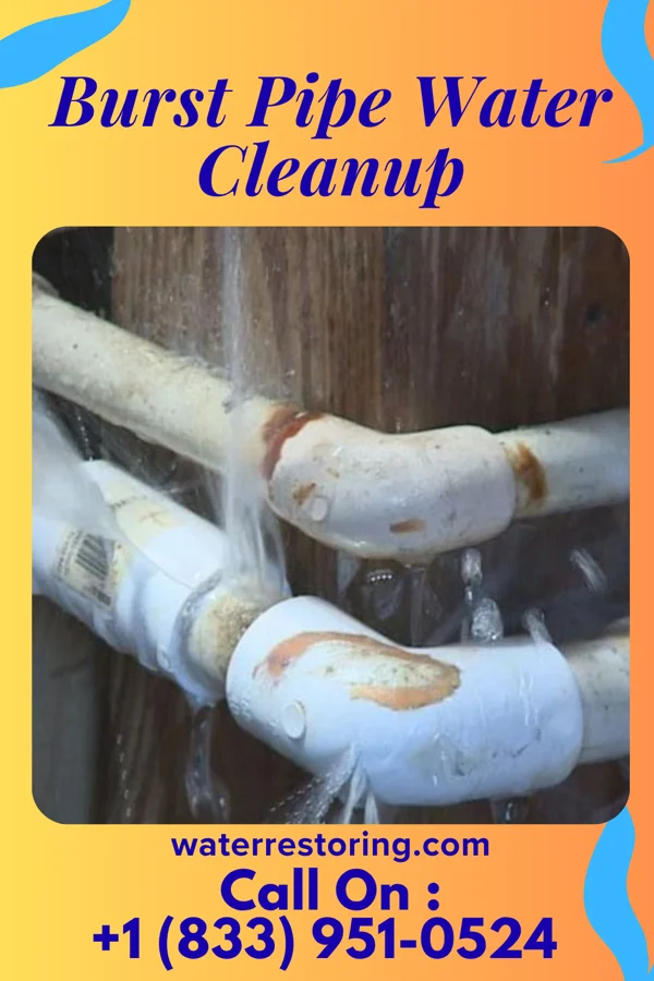 Burst Pipe Water Cleanup in Valley-Hi, PA