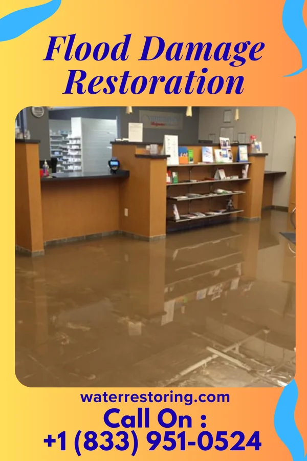 Flood Damage Restoration in Valley-Hi, PA