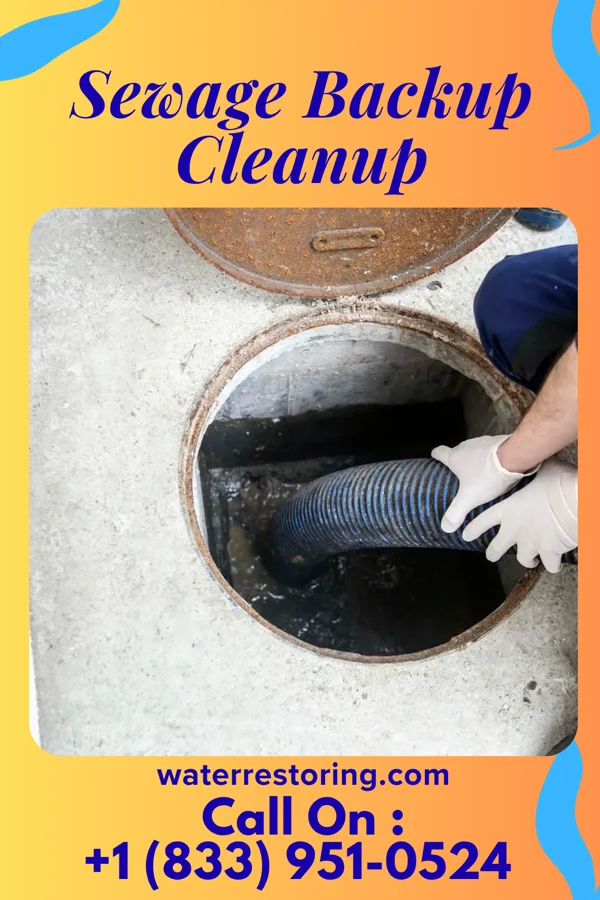 Sewage Backup Cleanup in Valley-Hi, PA
