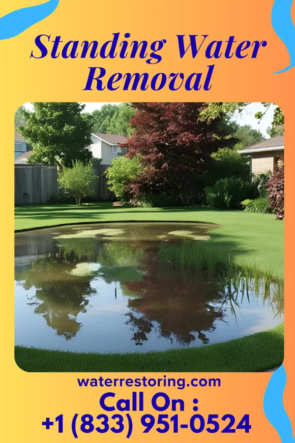 Standing Water Removal in Valley-Hi, PA